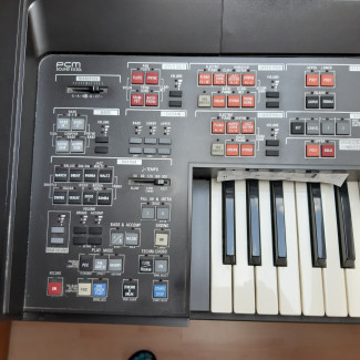 E-Orgel