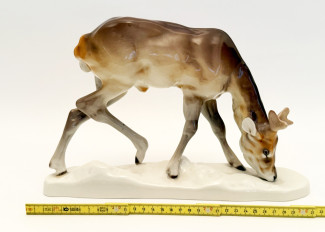 Hirsch
