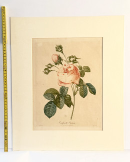Grafik