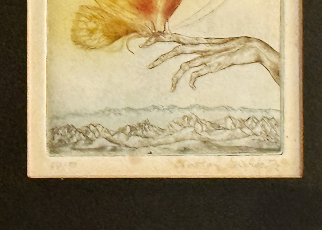Schmetterling